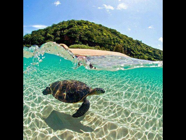 டைமிங் போட்டோஸ்!!