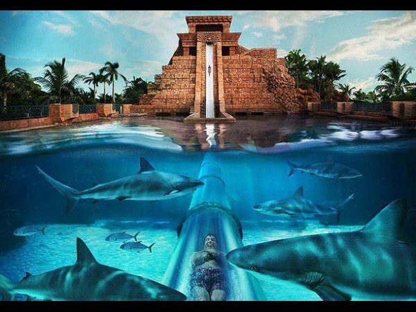 டைமிங் போட்டோஸ்!!