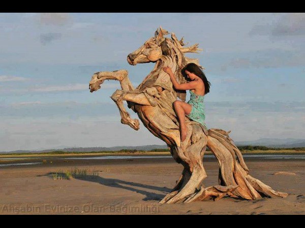 டைமிங் போட்டோஸ்!!