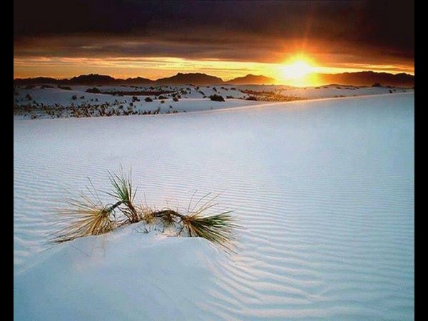 டைமிங் போட்டோஸ்!!