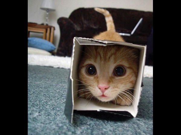 சூப்பர் கிளிக் போட்டோஸ் 