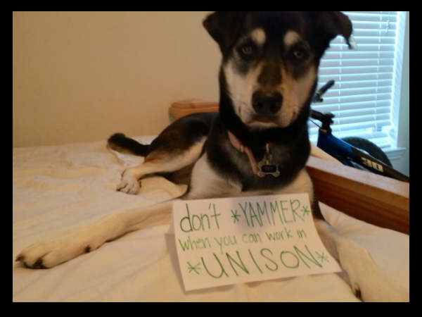 இவங்க டெக் கம்பெனில வேலைல இருக்காங்க தெரியுமா