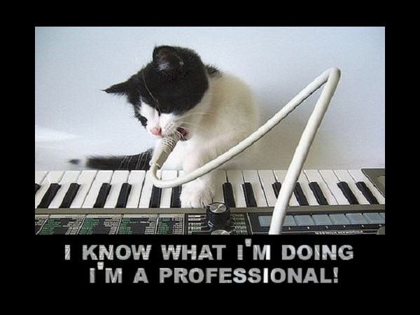 இவங்க டெக் கம்பெனில வேலைல இருக்காங்க தெரியுமா