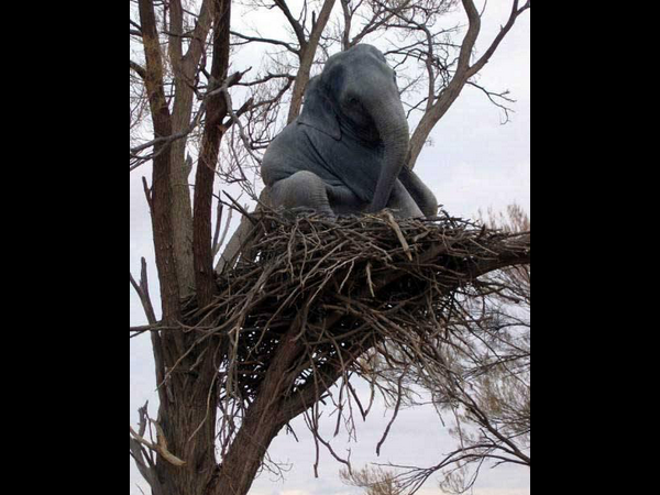இந்த போட்டோக்கள பத்தி உங்க கருத்து