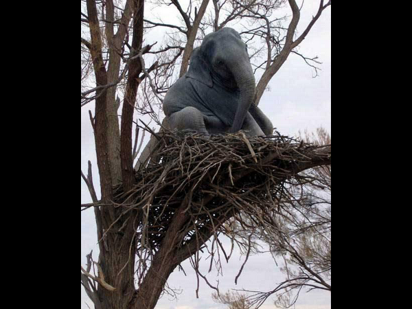 இந்த போட்டோக்கள பத்தி உங்க கருத்து 