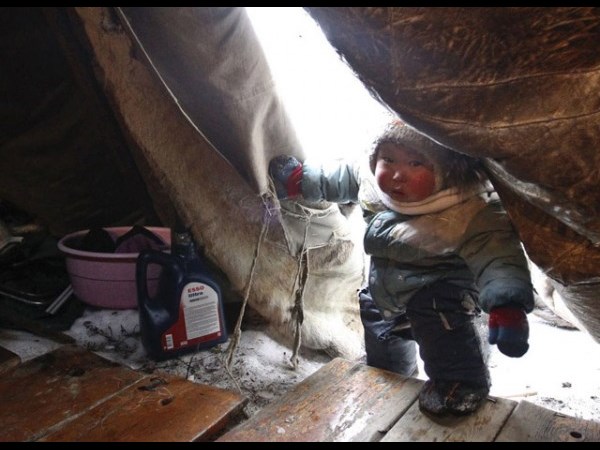 இவைதான் 2013 ன் உலகின் சிறந்த புகைப்படங்கள்