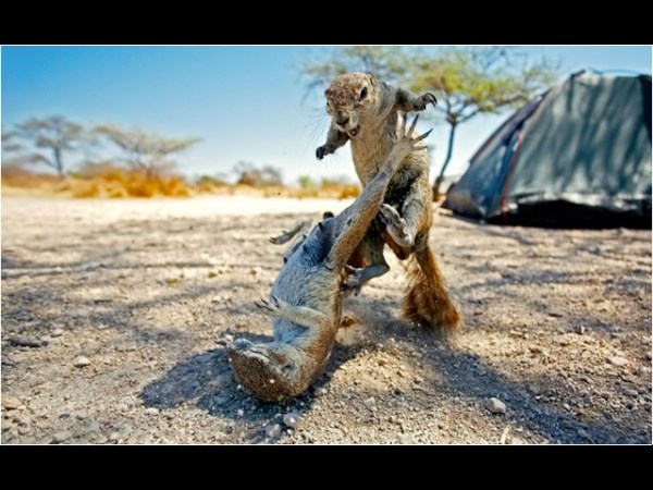 இவைதான் 2013 ன் உலகின் சிறந்த புகைப்படங்கள்