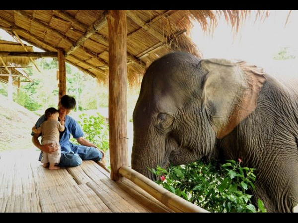 இவைதான் 2013 ன் உலகின் சிறந்த புகைப்படங்கள்