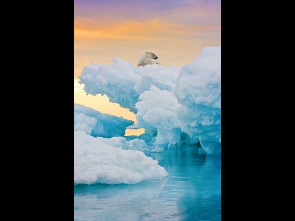 இவைதான் 2013 ன் உலகின் சிறந்த புகைப்படங்கள்