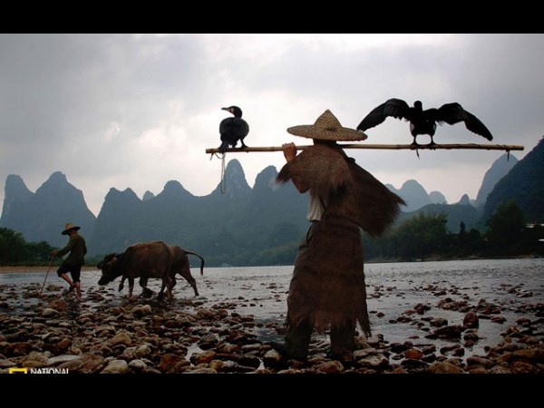 இவைதான் 2013 ன் உலகின் சிறந்த புகைப்படங்கள்