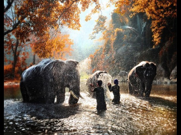 இவைதான் 2013 ன் உலகின் சிறந்த புகைப்படங்கள்