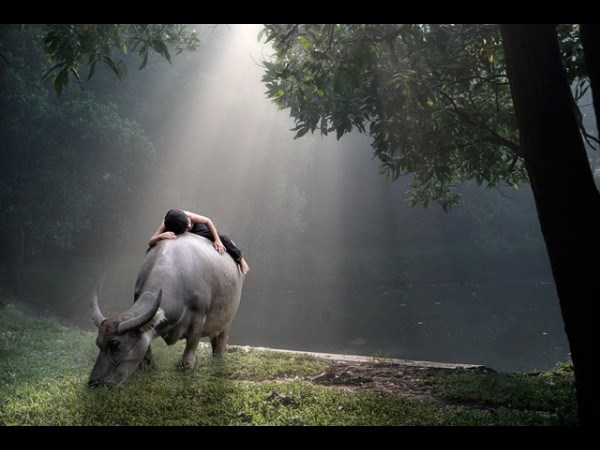 இவைதான் 2013 ன் உலகின் சிறந்த புகைப்படங்கள்