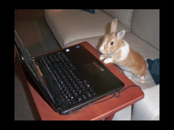 நீயெல்லாம் கம்பியூட்டர் யூஸ் பண்றியா