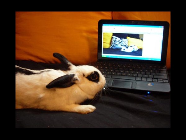 நீயெல்லாம் கம்பியூட்டர் யூஸ் பண்றியா