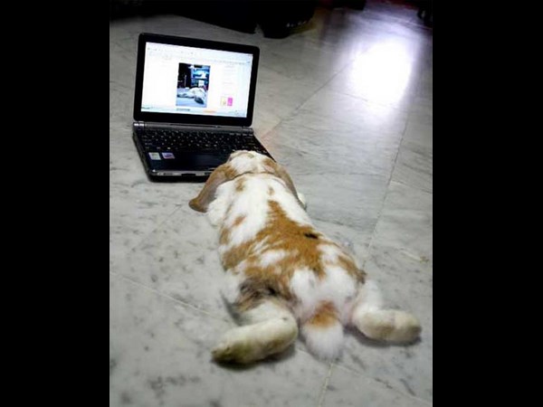 நீயெல்லாம் கம்பியூட்டர் யூஸ் பண்றியா