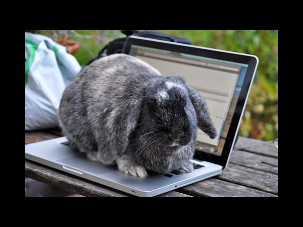 நீயெல்லாம் கம்பியூட்டர் யூஸ் பண்றியா