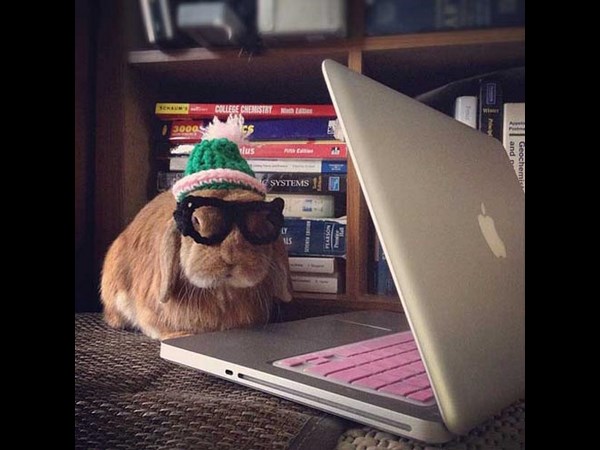 நீயெல்லாம் கம்பியூட்டர் யூஸ் பண்றியா