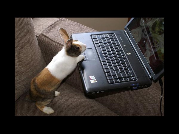 நீயெல்லாம் கம்பியூட்டர் யூஸ் பண்றியா