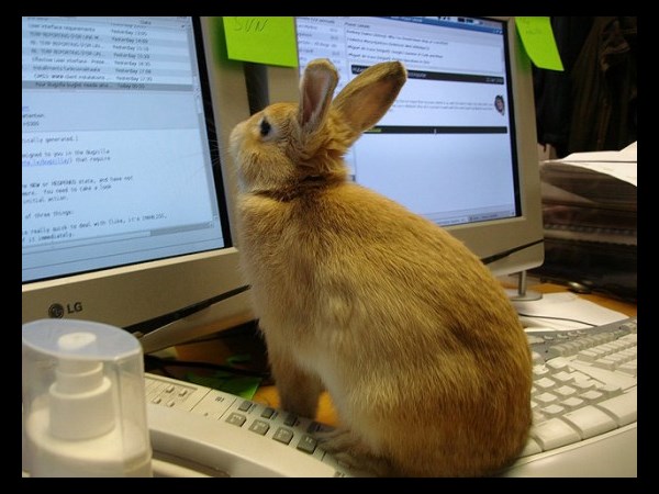 நீயெல்லாம் கம்பியூட்டர் யூஸ் பண்றியா