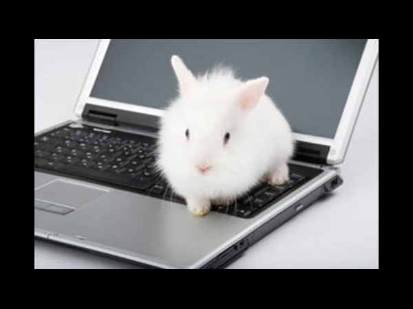 நீயெல்லாம் கம்பியூட்டர் யூஸ் பண்றியா