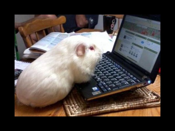 நீயெல்லாம் கம்பியூட்டர் யூஸ் பண்றியா