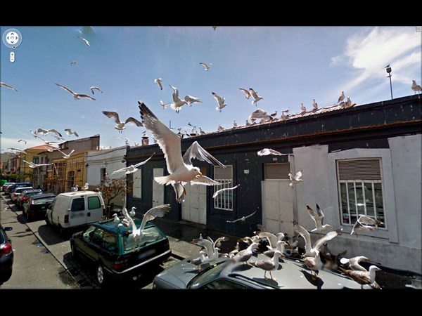 கூகுளின் ஸ்டிரிட் வியூ இதுதான் பாஸ்