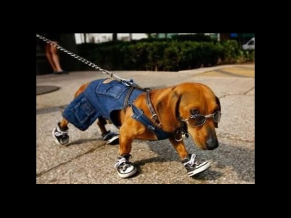 சூப்பர் கிளிக் போட்டோக்கள் 