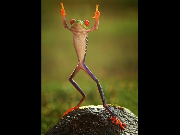 சூப்பர் கிளிக் போட்டோக்கள் 