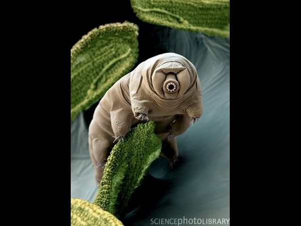 சூப்பர் கிளிக் போட்டோக்கள் 