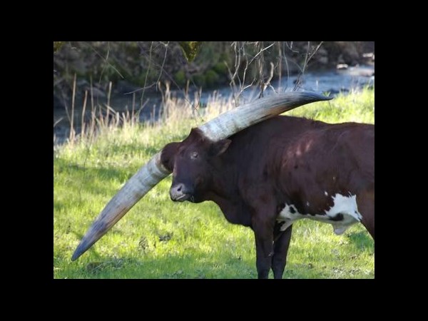 சூப்பர் கிளிக் போட்டோக்கள் 