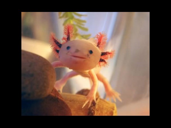 சூப்பர் கிளிக் போட்டோக்கள் 