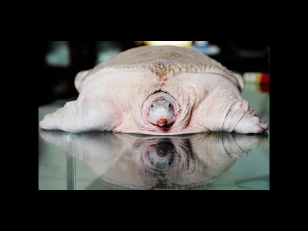 சூப்பர் கிளிக் போட்டோக்கள் 