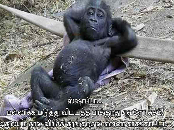 இதை சிரிக்காம பாப்பிங்களா அப்ப வாங்க