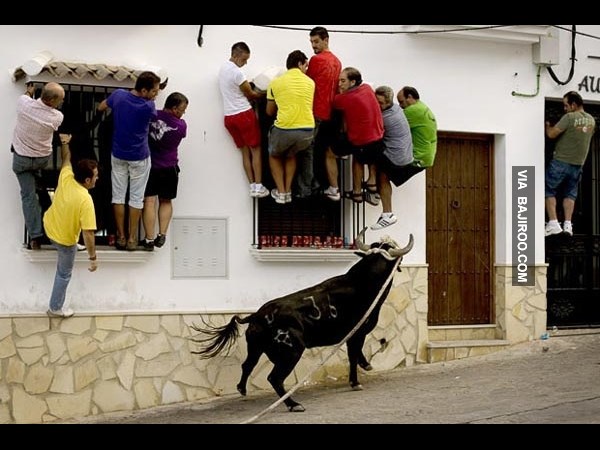 கூலான பத்து படங்கள் பாஸ்