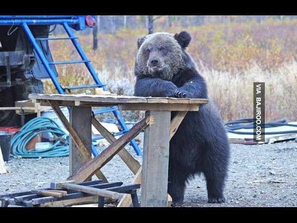 கூலான பத்து படங்கள் பாஸ்