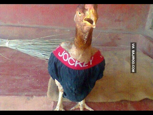 கூலான பத்து படங்கள் பாஸ்