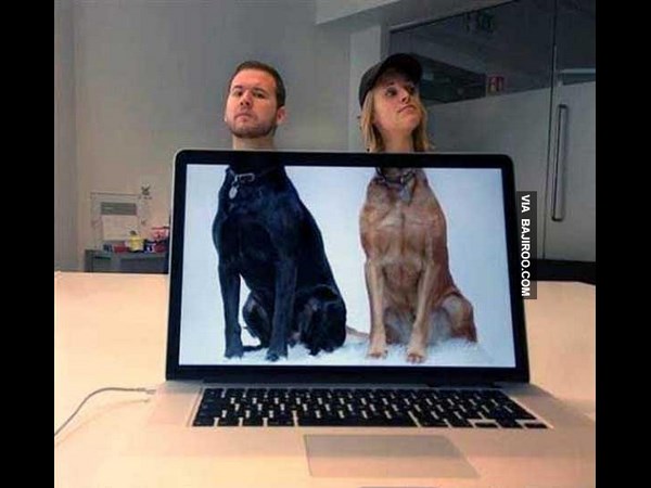 கூலான பத்து படங்கள் பாஸ்