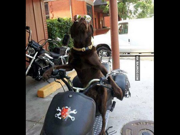 கூலான பத்து படங்கள் பாஸ்