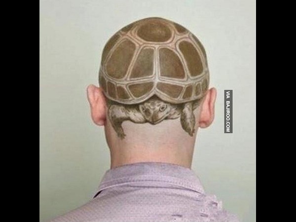 கூலான பத்து படங்கள் பாஸ்