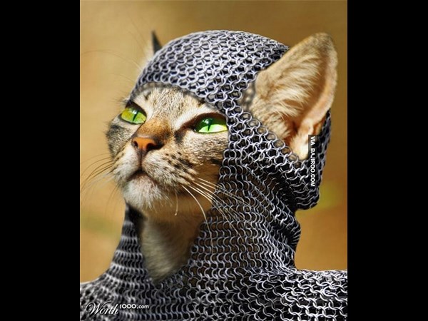 கியூட் போட்டோஷாப் போட்டோக்கள்