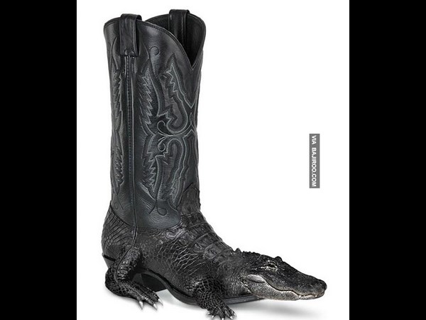 கியூட் போட்டோஷாப் போட்டோக்கள்