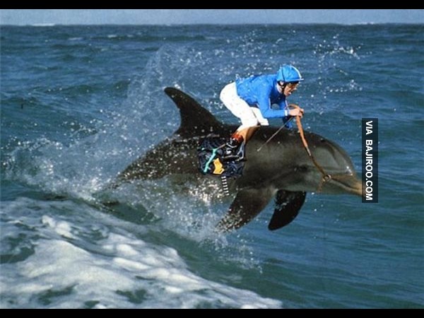 கியூட் போட்டோஷாப் போட்டோக்கள்