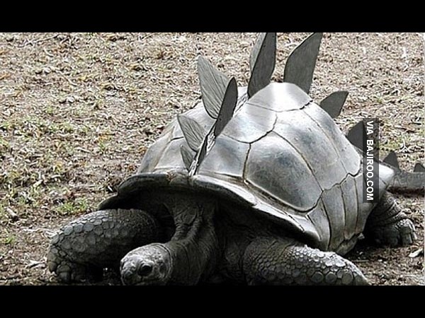 கியூட் போட்டோஷாப் போட்டோக்கள்