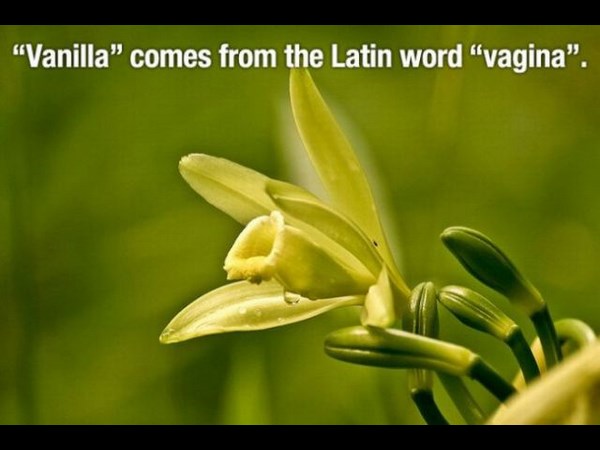 உங்களுக்கு தெரியாத உலக உண்மைகள்