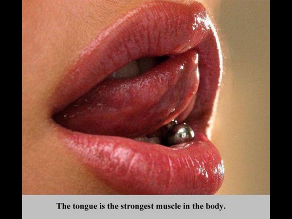 உங்களுக்கு தெரியாத உலக உண்மைகள்