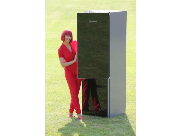 Refrigerator-freezer combination CBNPgb 3956