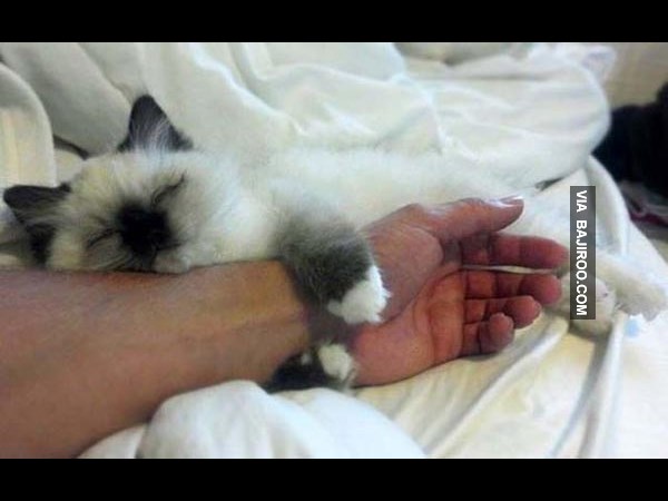 உலகின் விசித்திர மனிதர்கள் இவர்கள்தான்