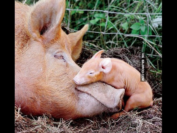 உலகின் விசித்திர மனிதர்கள் இவர்கள்தான்