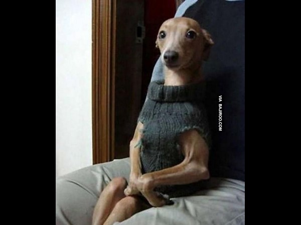 உலகின் விசித்திர மனிதர்கள் இவர்கள்தான்