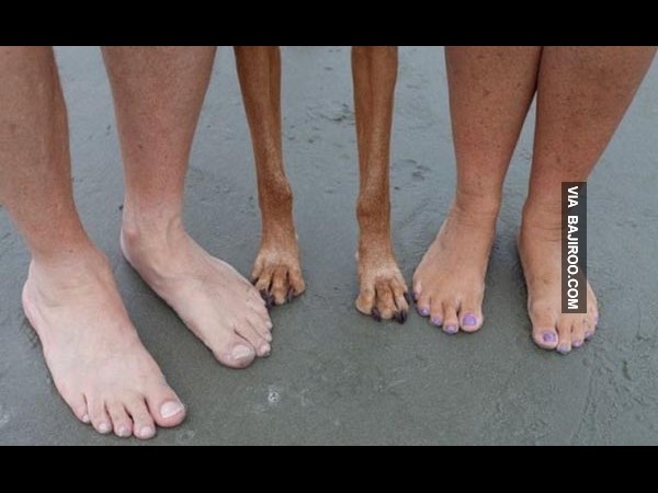 உலகின் விசித்திர மனிதர்கள் இவர்கள்தான்